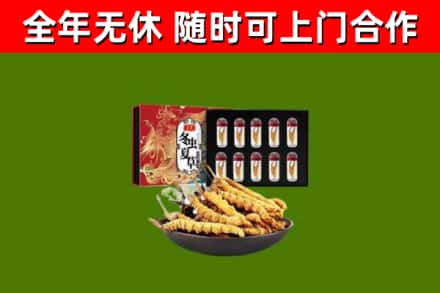 廊坊烟酒回收冬虫夏草礼盒.jpg